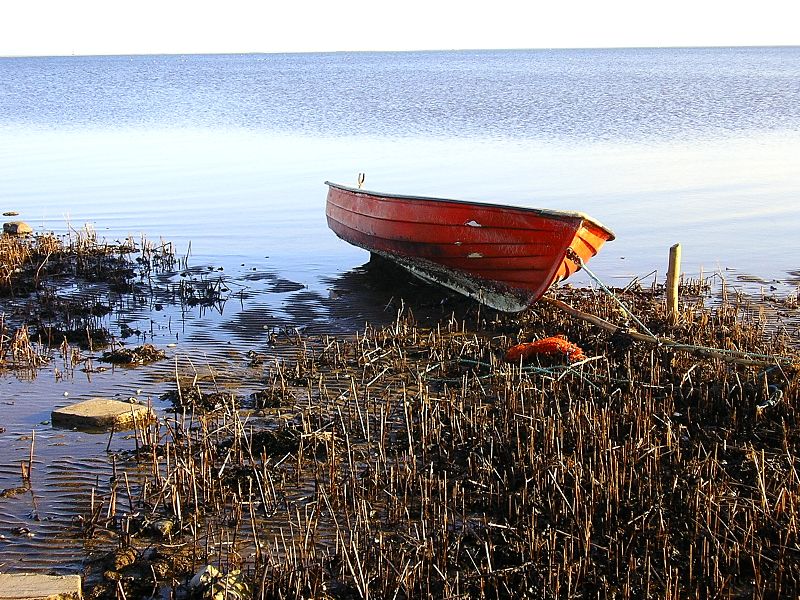 Boat_at_Egholm