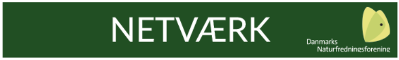 Netværk