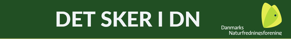Det sker-1