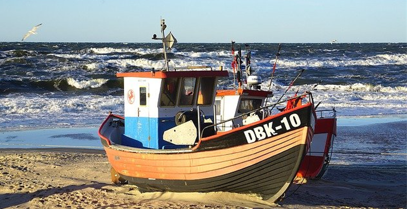 Fiskeri