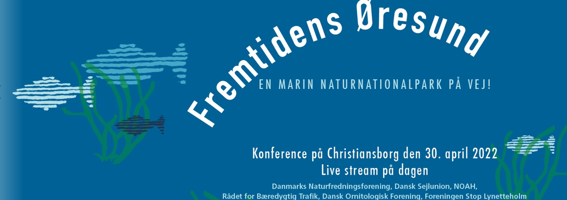 Fremtidens Øresund