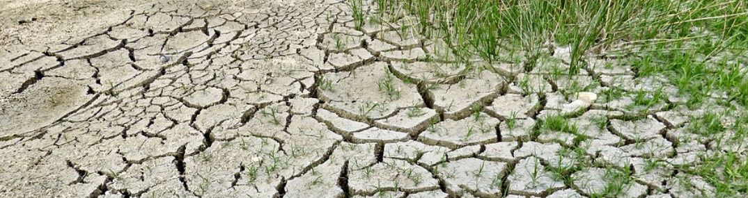 Klimaændringer