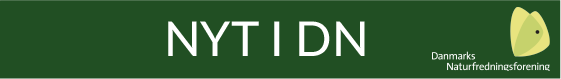 NYT - NYT I DN