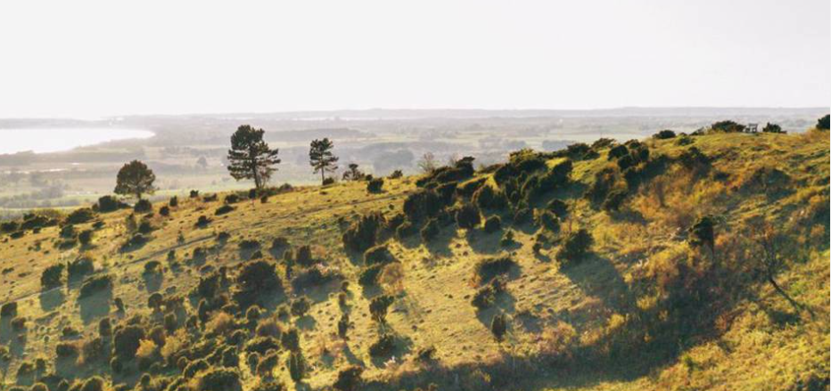 Naturlandskab