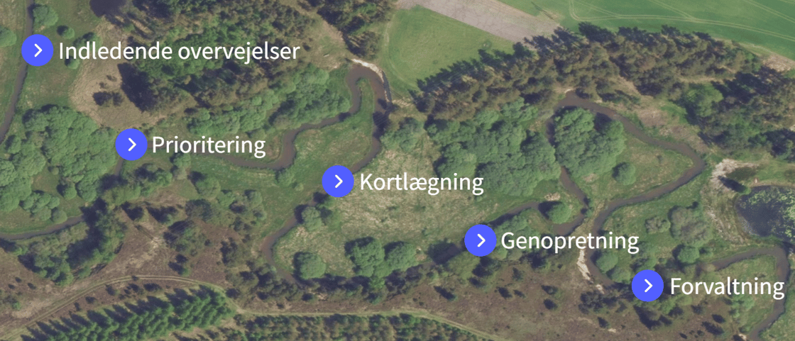 Vågområde illustration