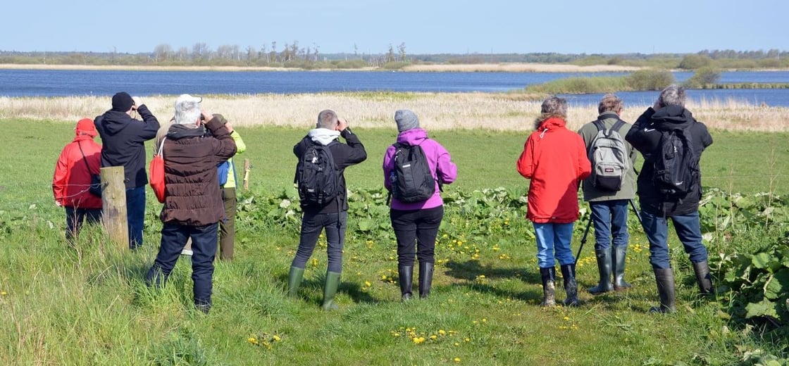 gødstrup sø -650