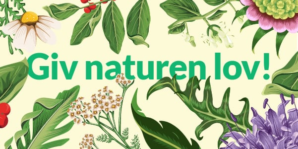 header_600x300_lys
